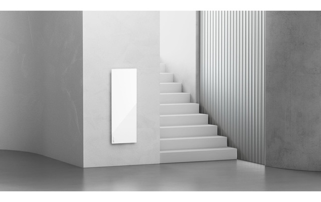 Infrarotheizung »AENO Premium Eco Smart LED 700 W«