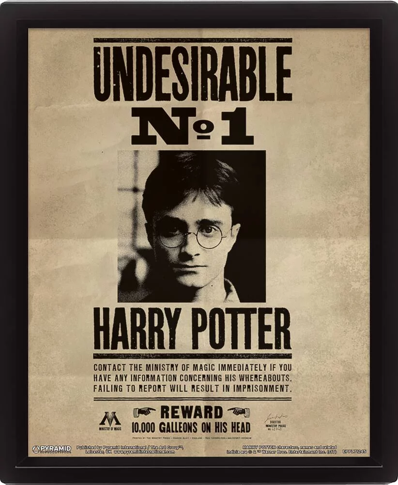 HARRY POTTER - CADRE 3D LENTICULAIRE SIRIUS BLACK