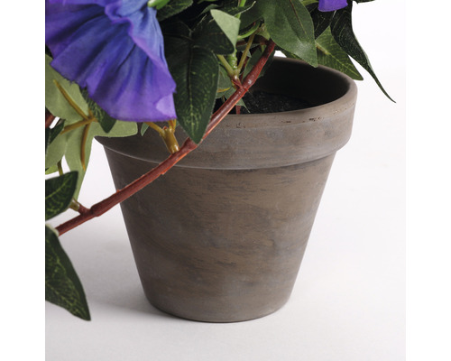 Hangende kunstpetunia, hangend paars