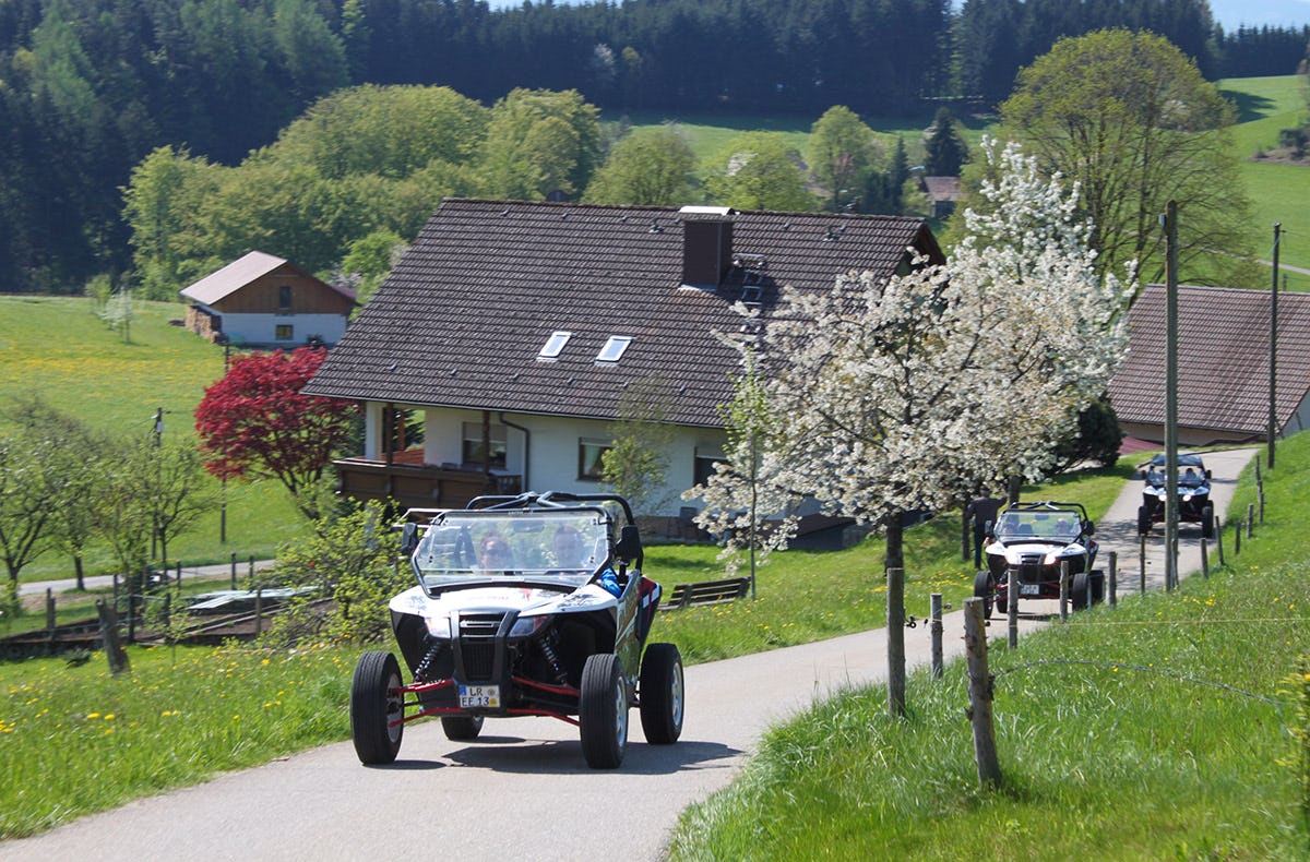 Im Buggy durch den Schwarzwald