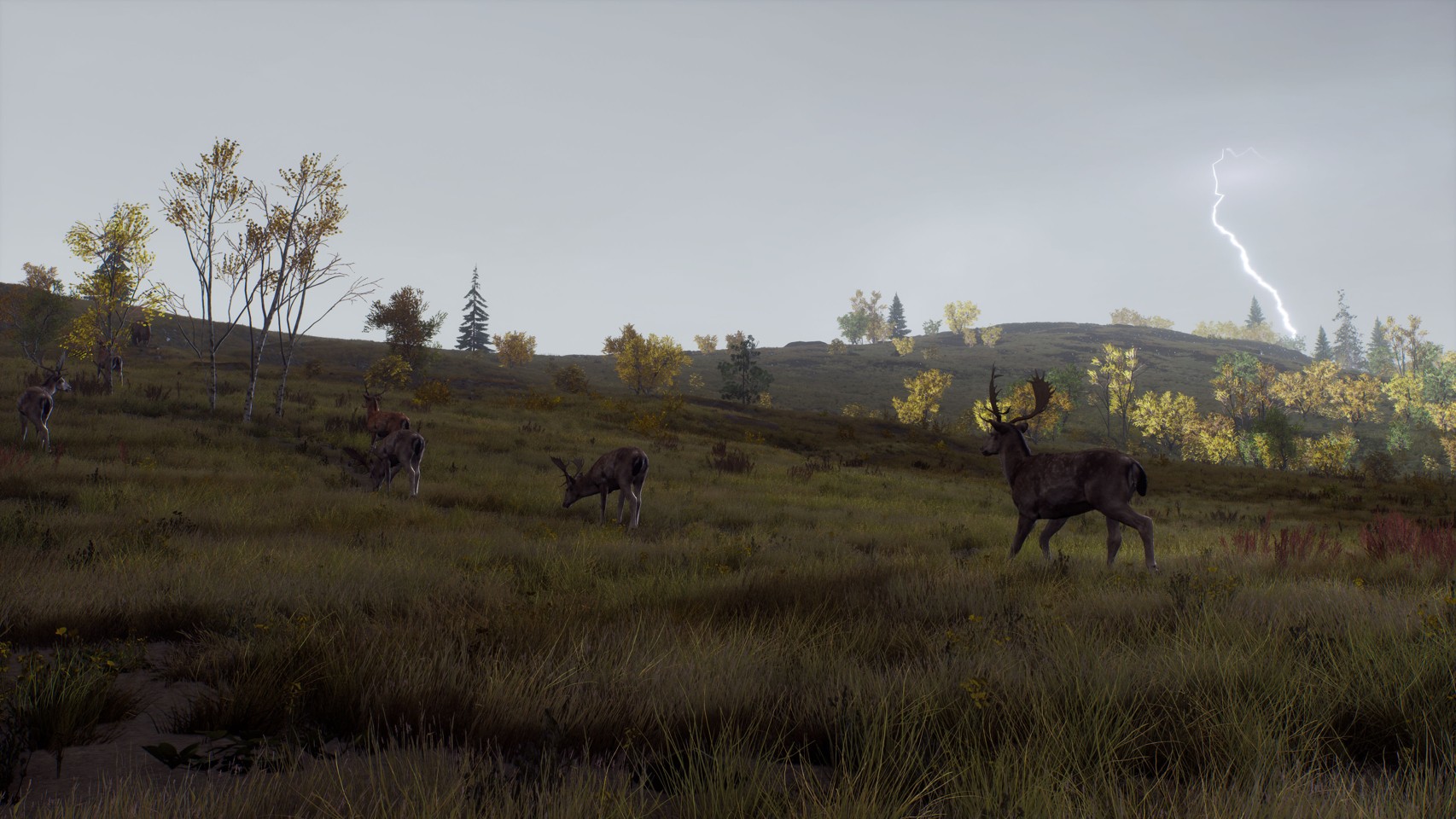 Way of the Hunter - Wild Expeditions- PlayStation 5