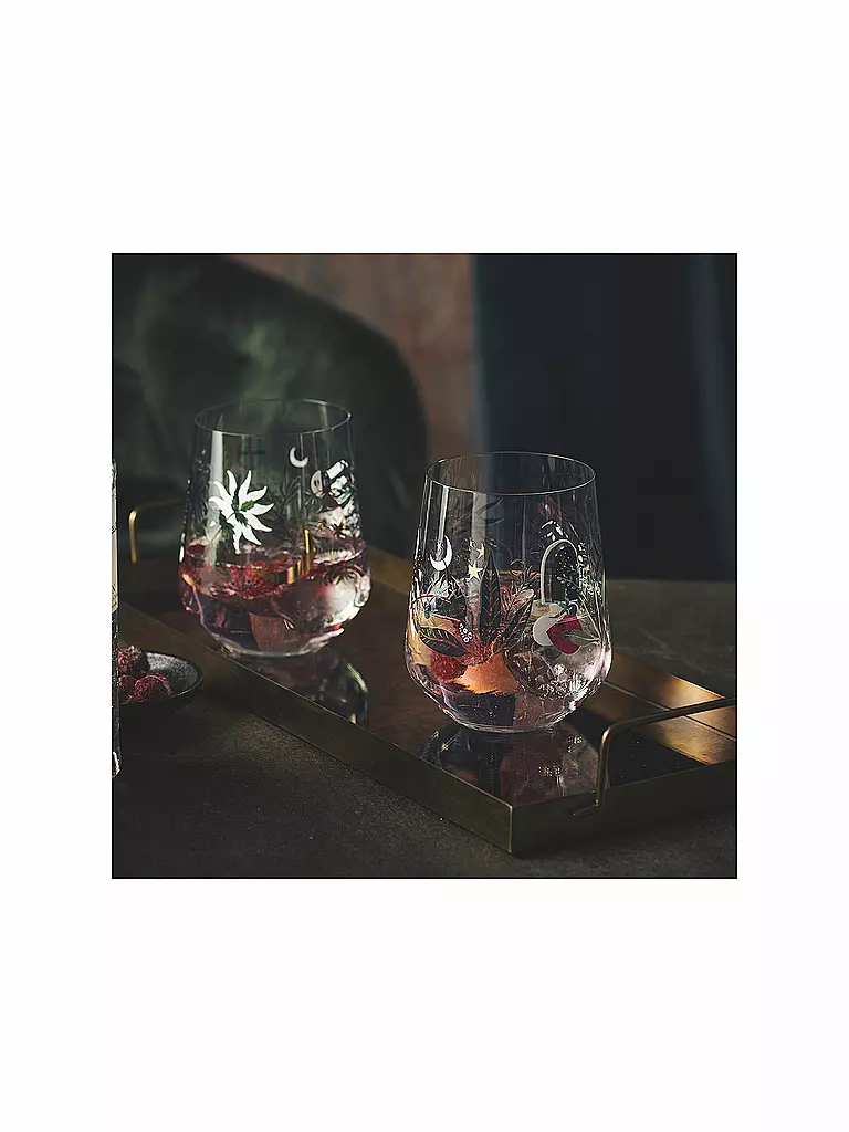 RITZENHOFF Gin Tumbler 2-er Set BOTANIC GLAMOUR #7 #8 Good Wives bunt