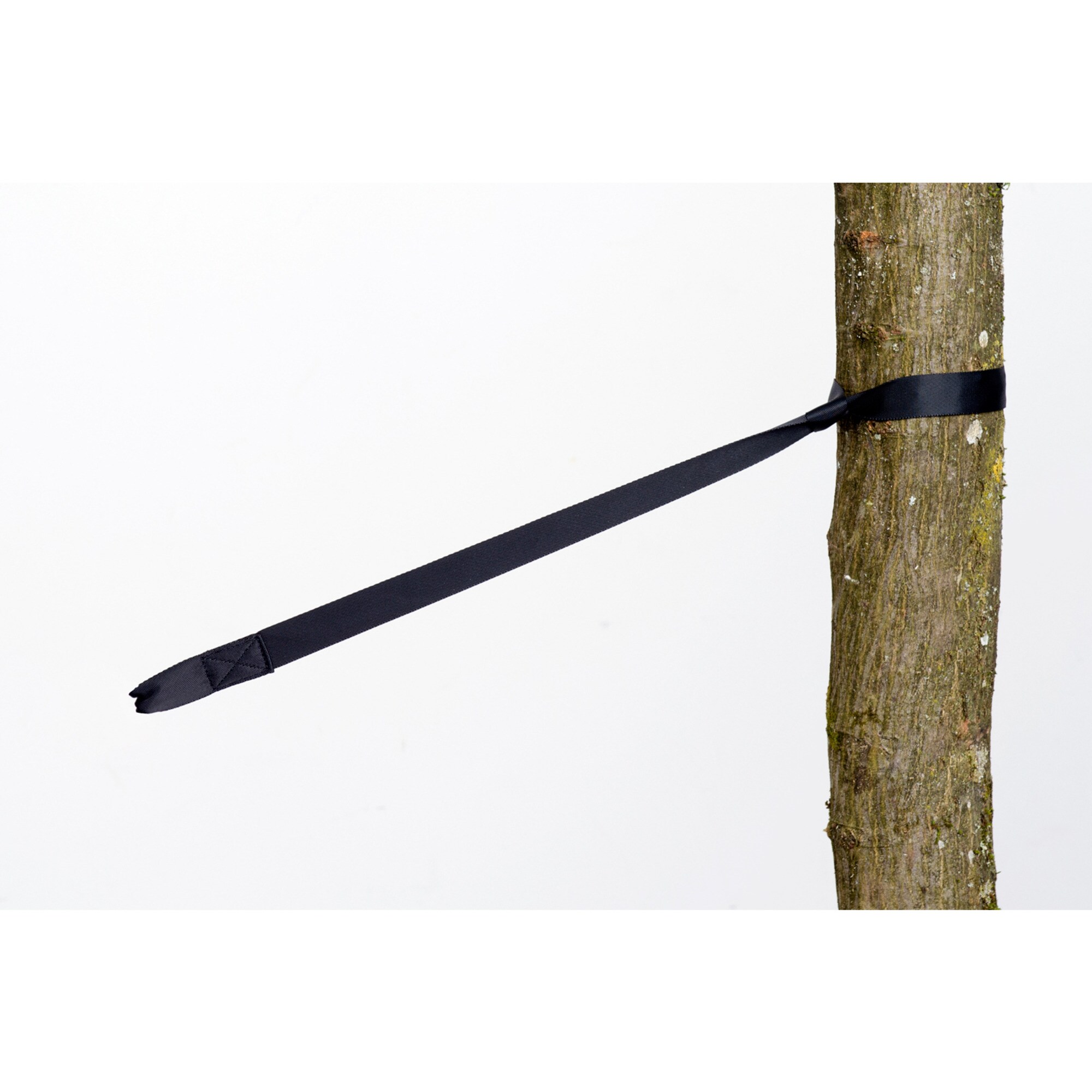 Amazonas Halterung 2-in-1 Treehugger