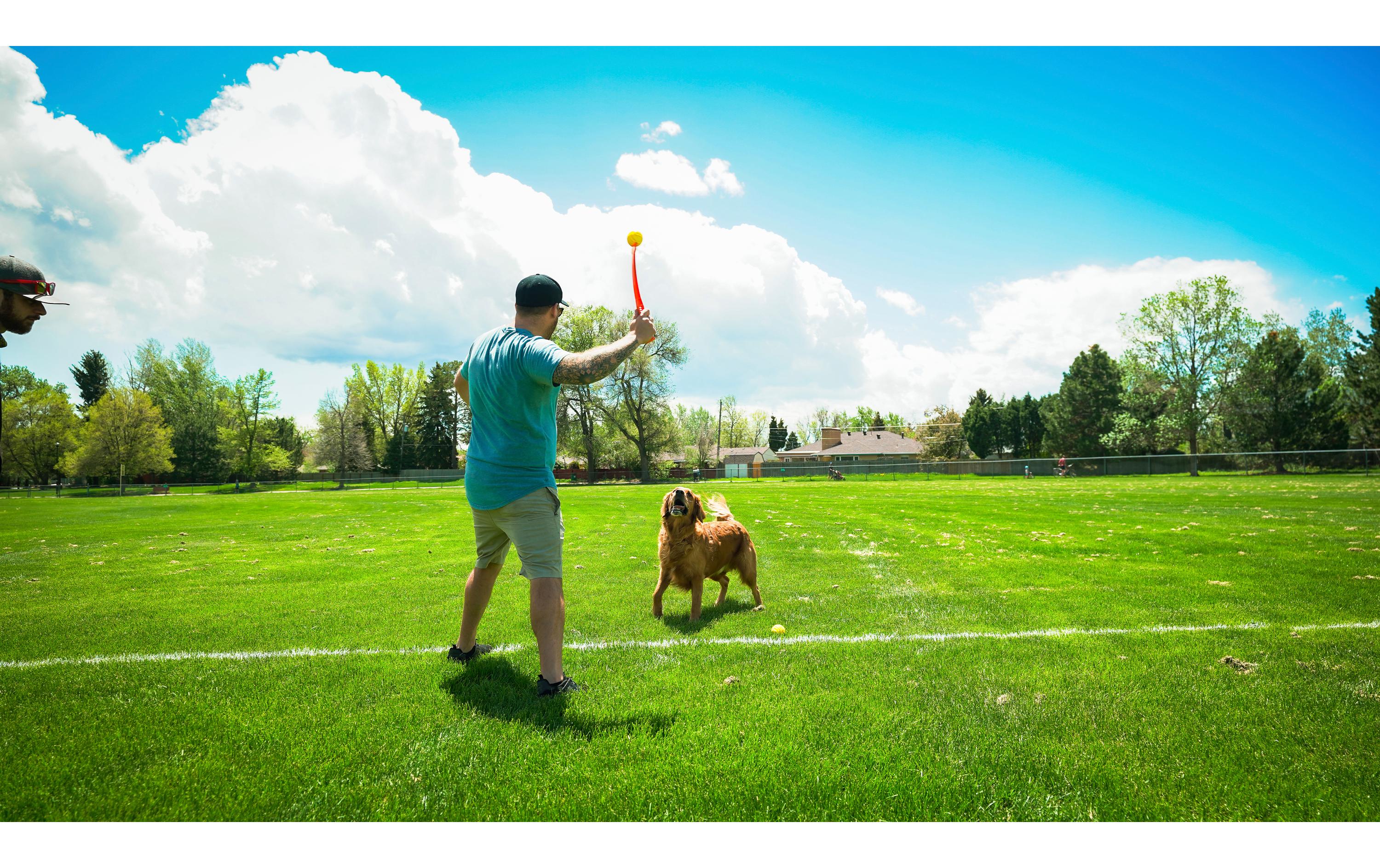 Hunde-Spielzeug Flingerz Ball mit Launcher, Orange/GelbWurf-Hundespielzeug