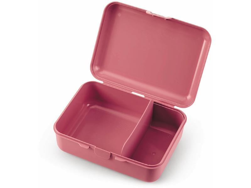 Sterntaler Lunchbox Brotdose Mabel Brotdose mit praktischem Verschluss