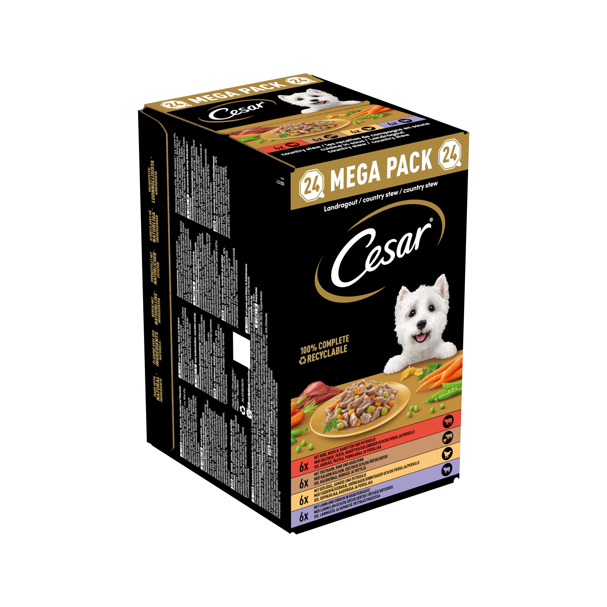 Cesar Cuisine in Saus