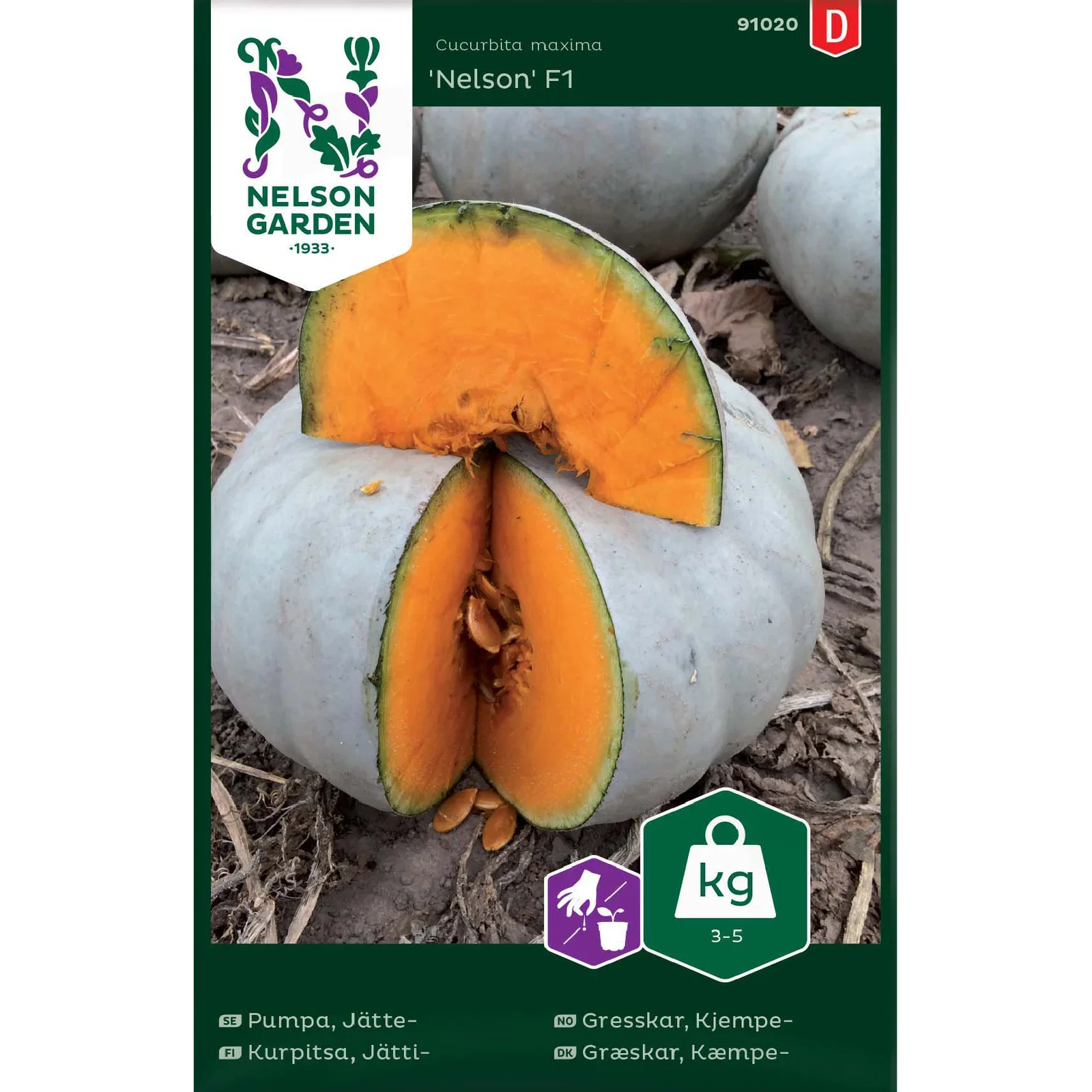 Cucurbita  maxima 'Nelson' Kjempegresskar 'Nelson' F1
