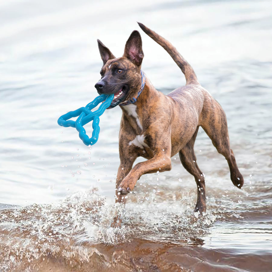 Kong Flyangle Juguete para perros