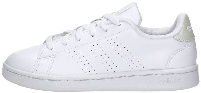 adidas Advantage wit