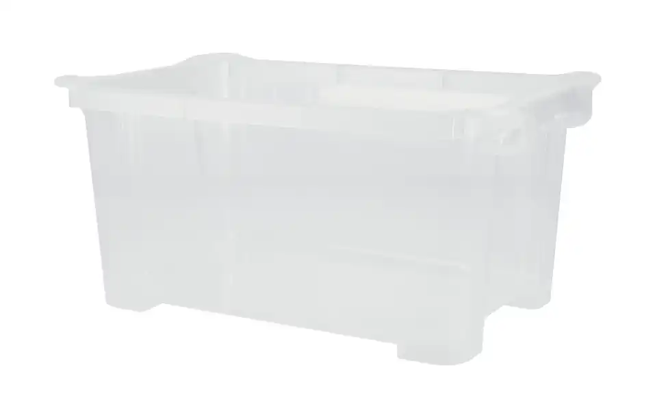 Rotho Aufbewahrungsbox 12,8 cm