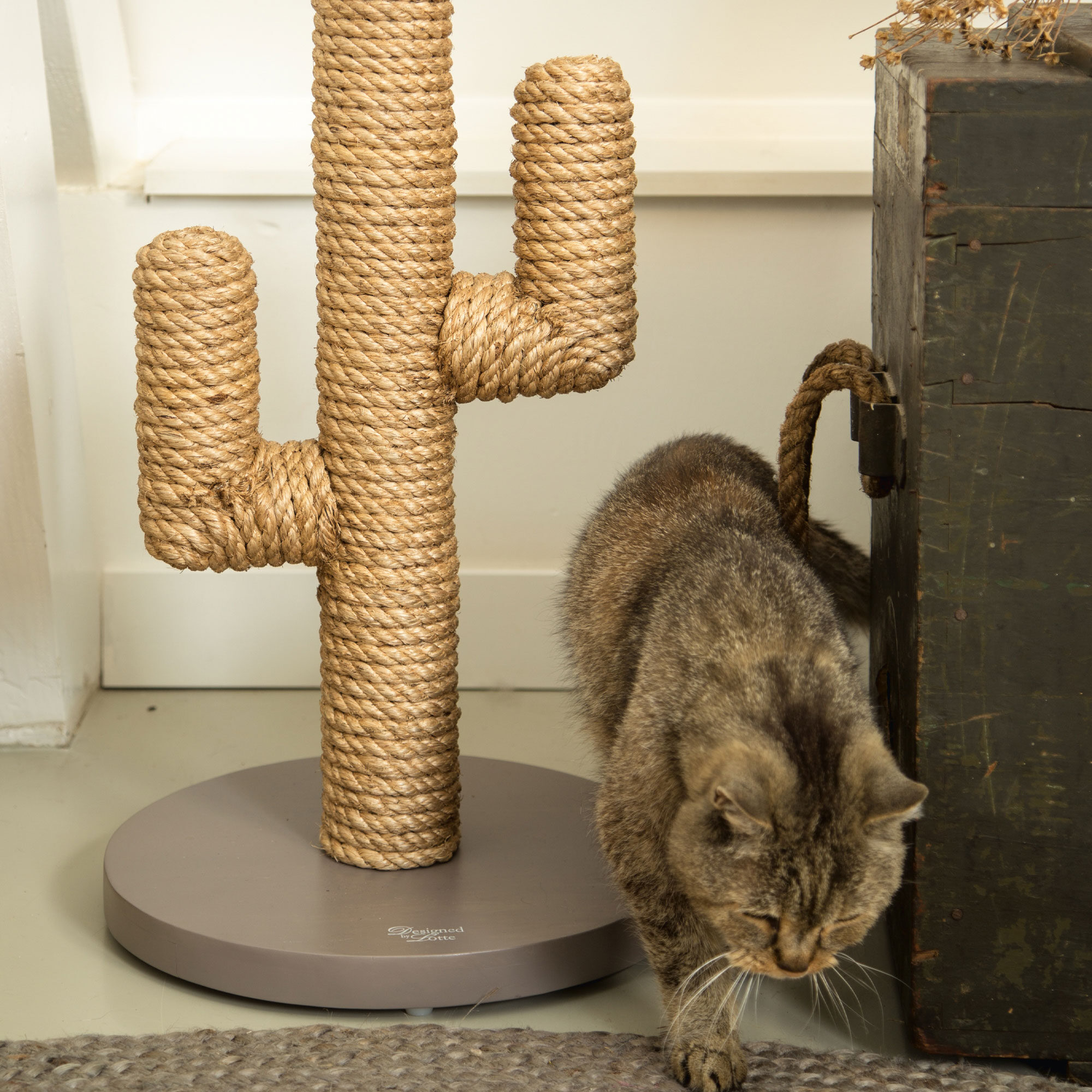 Designed by Lotte Krabpaal Cactus