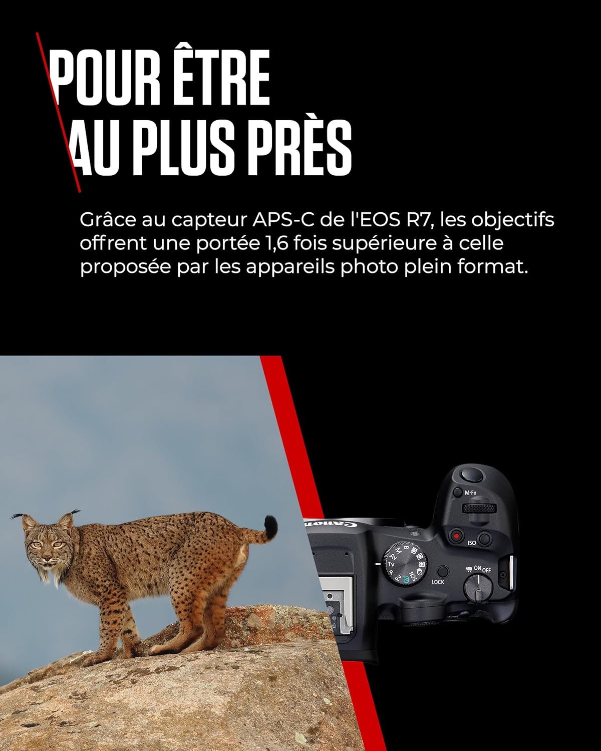 Canon EOS R7 Appareil Photo avec Objectif RF-S 18-150mm F3.5-6.3 is STM, Appareil Photo Hybride, AF CMOS Dual Pixel II, Enregistrement Vidéo 4K 60p, Prise de Vue en Continu, Bluetooth, Wi-FI, WLAN