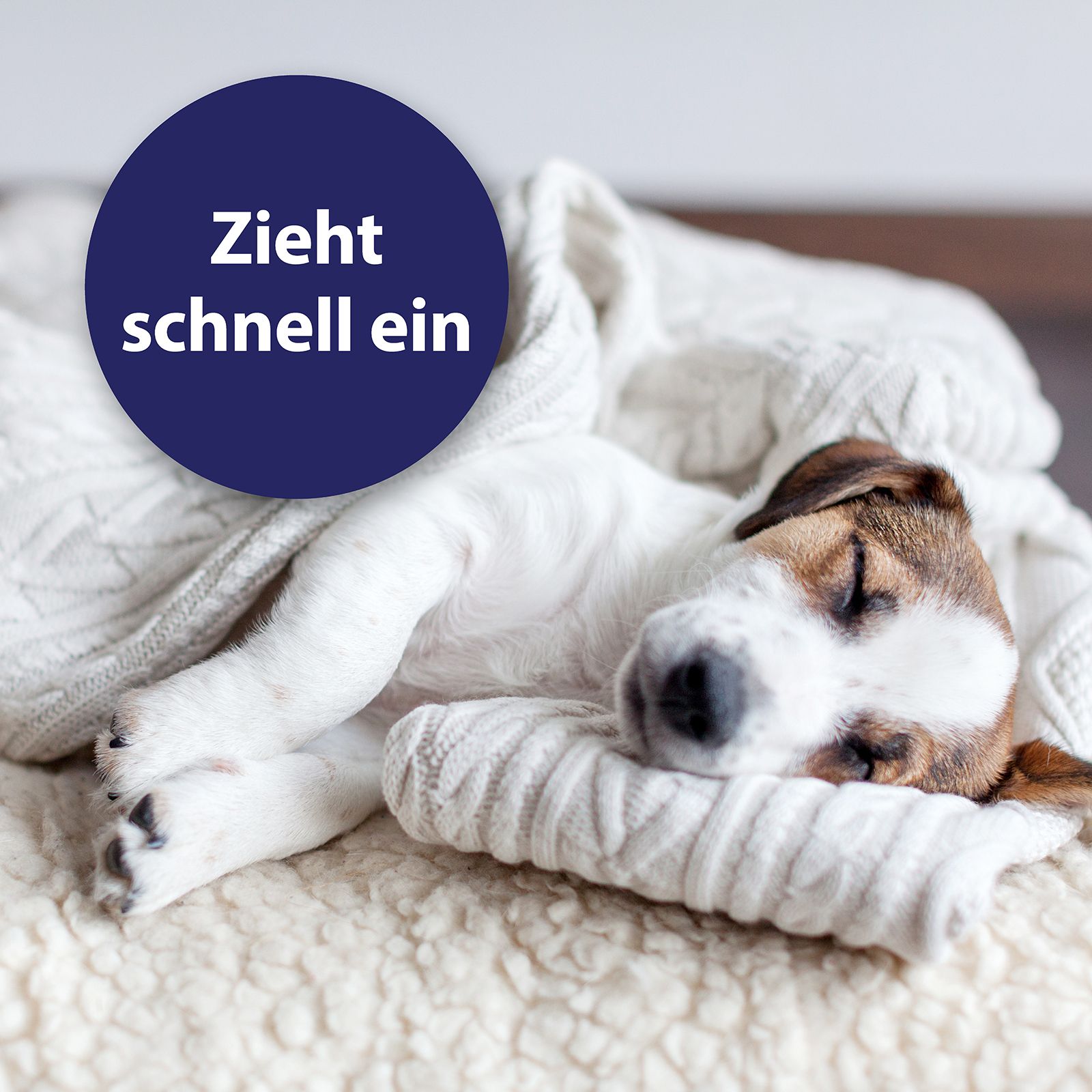 Canosept® Pfotenpflege für Hunde