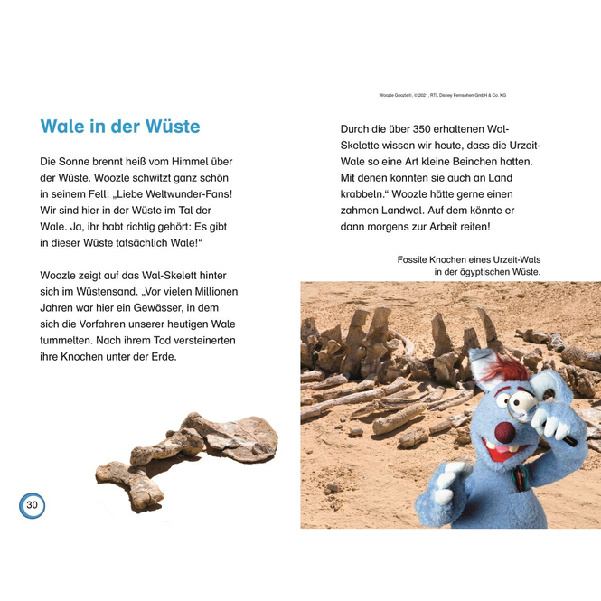 Woozle Goozle - Wunder der Welt