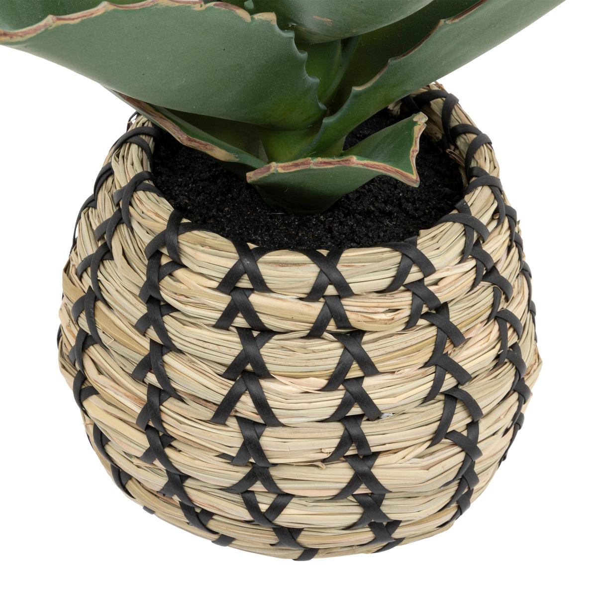 SAMOURAI POT NATUREL PIO H.26CM