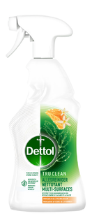 Dettol Allesreiniger Spray Mandarijn & Citroenbloesem 500ML