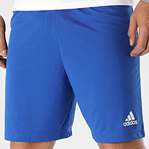 Short Jogging ENT22 HG6294 Bleu Roi