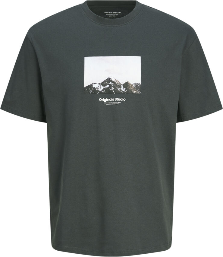 Jack & Jones JORVESTERBRO PICTURE TEE SS CREW JN Forest river/aw24