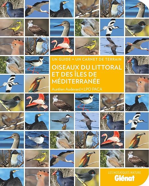 GLENAT - OISEAUX DU LITTORAL ET DES ILES DE MEDITERRANEE