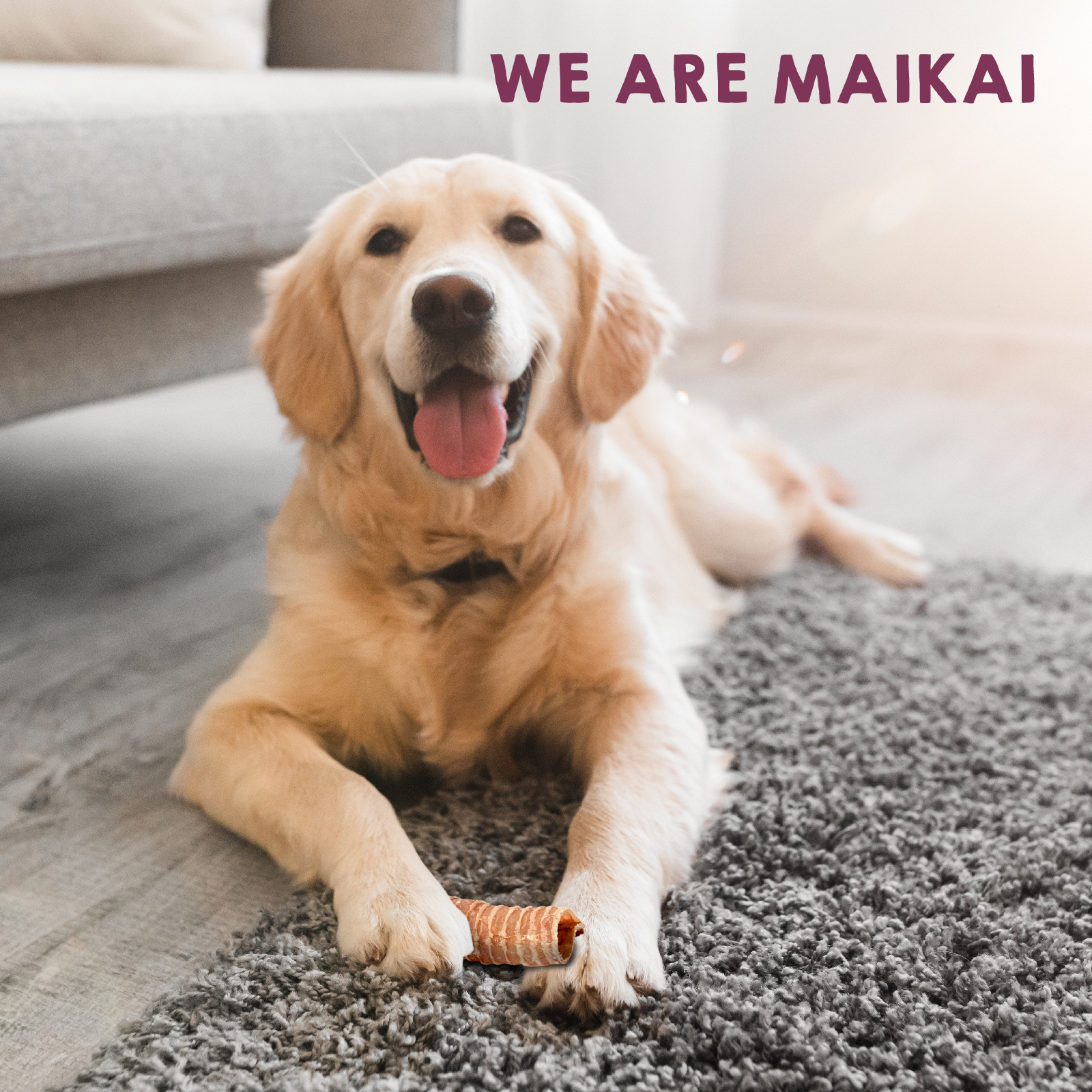Traqueias bovinas desidratadas. Petiscos 100% naturais para cães. MAIKAI PETS. 2 unidades.