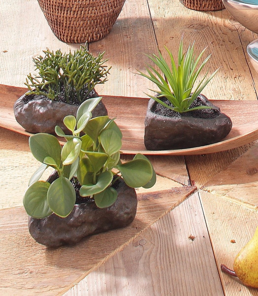 Home affaire Kunstpflanze »Sukkulenten« 4er Set
