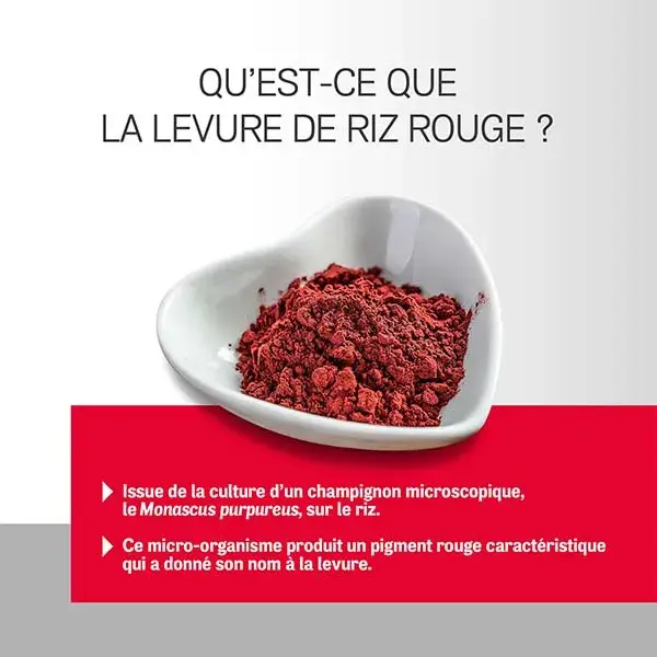 Arterin Arroz Vermelho Fermentado 2,9 mg 2 meses + 1 grátis 90 Comprimidos