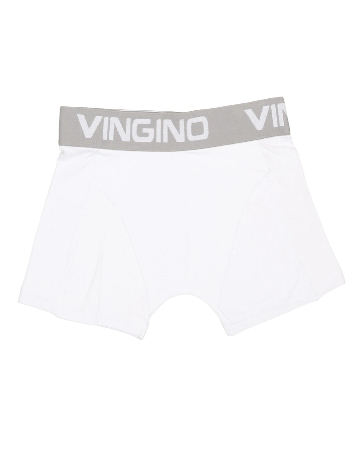 Boxershorts MULTICOLOR 5er Pack in schwarz/grau/weiß/navy