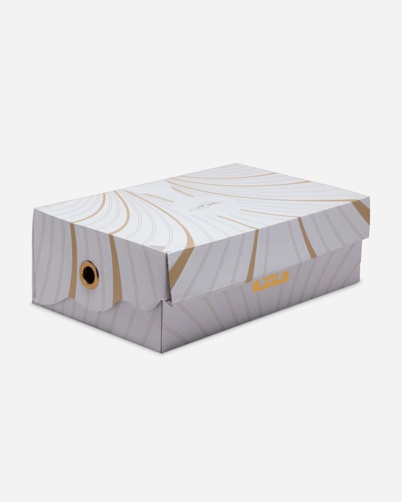 Chaussures de basket Nike LeBron XXI Gris pour homme