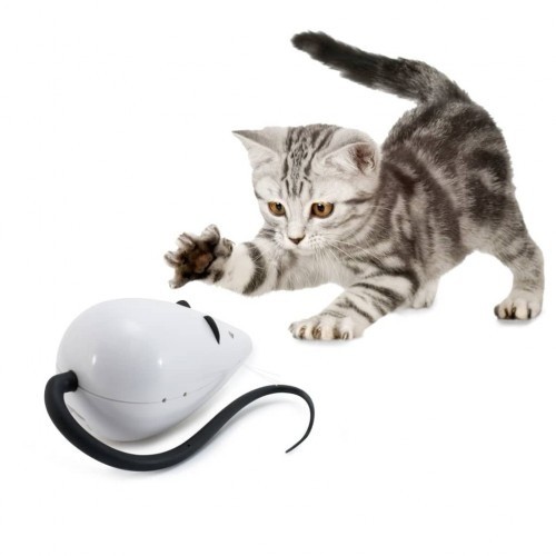Isca para gatos em formato de rato, preta e branca.