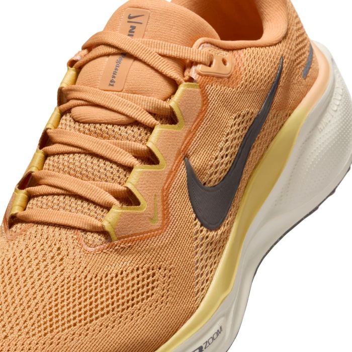 Nike Dame Løbesko Pegasus 41 Brun