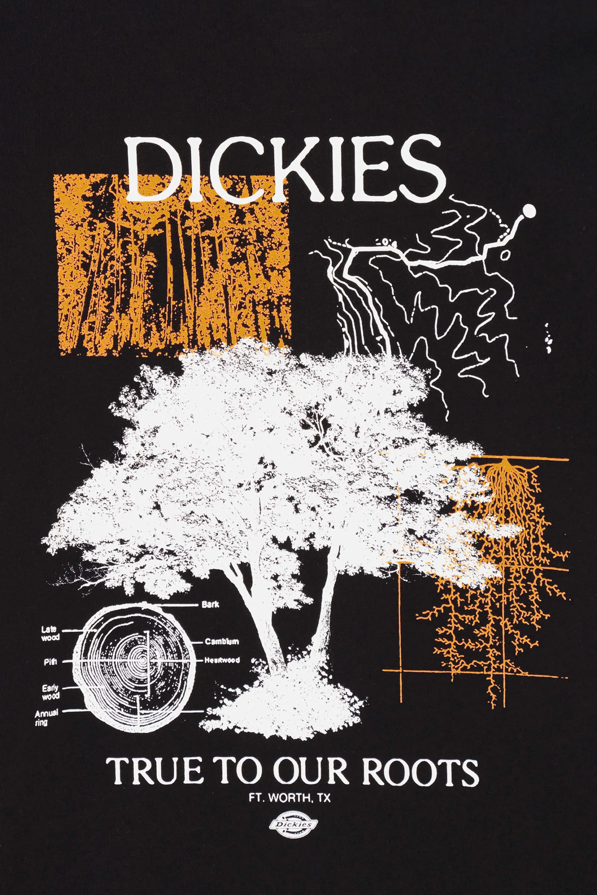 DICKIES T-shirt  KENBRIDGE TEE  Noir