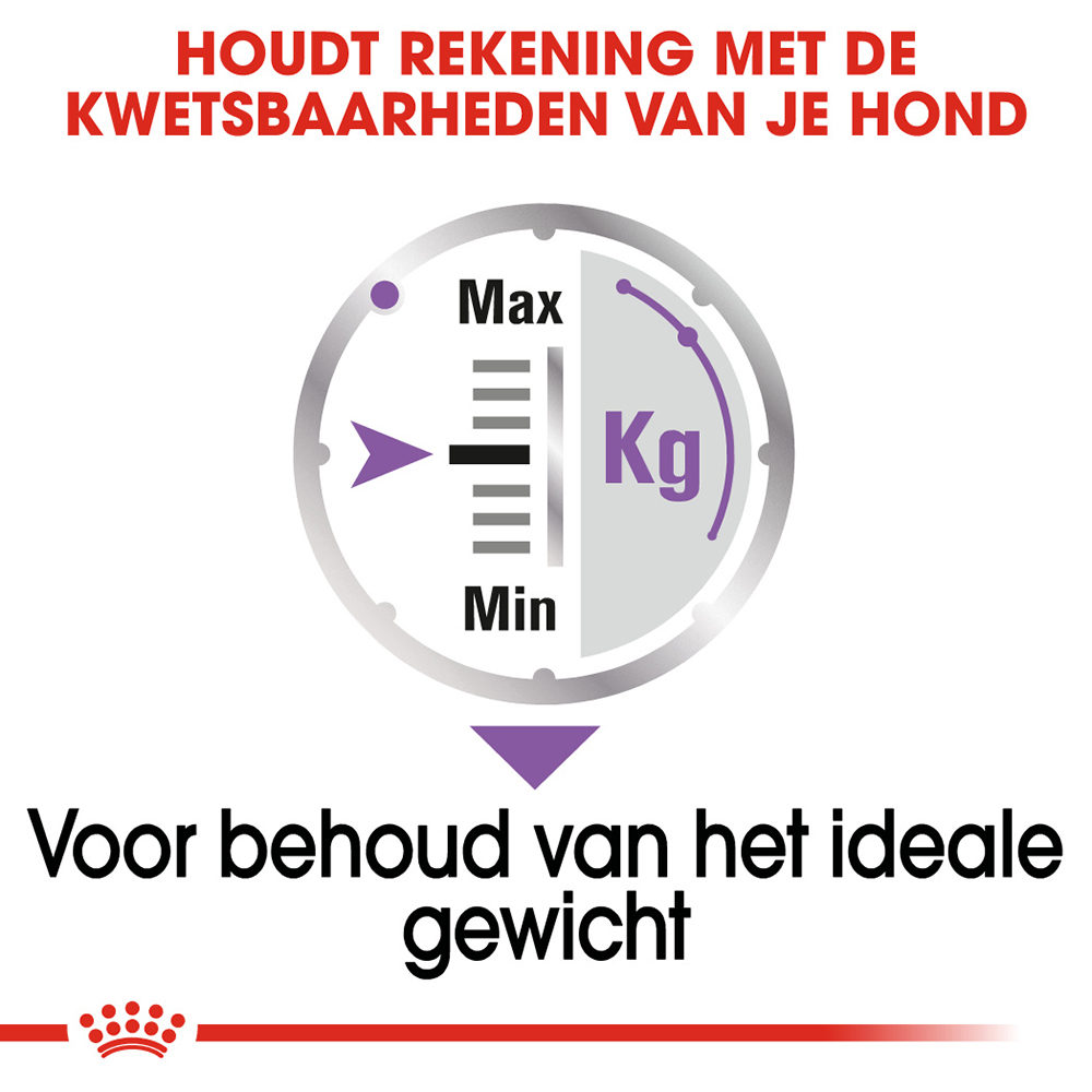 Royal Canin Sterilised Wet - Hondenvoer