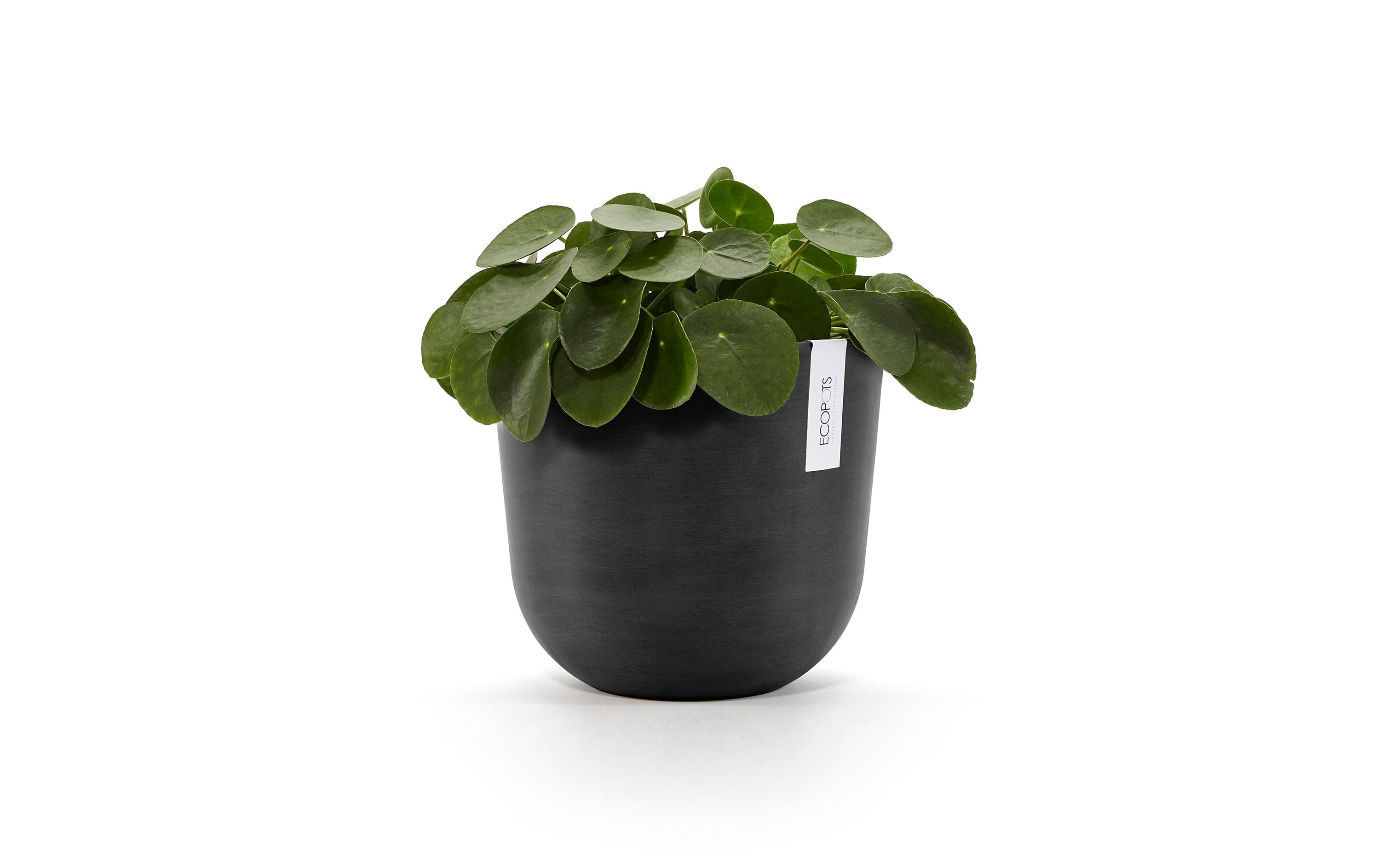 Pflanzentopf Oslo 25 DunkelgrauBlumentopf