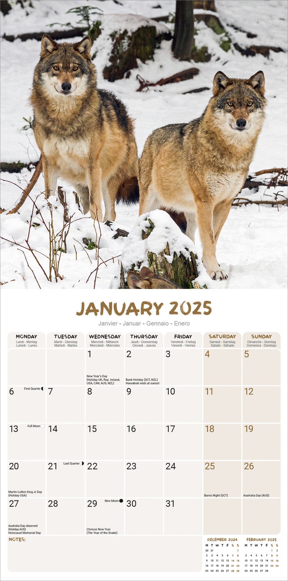 Plenty Gifts kalender wolven 30 x 30 x 0,5 cm