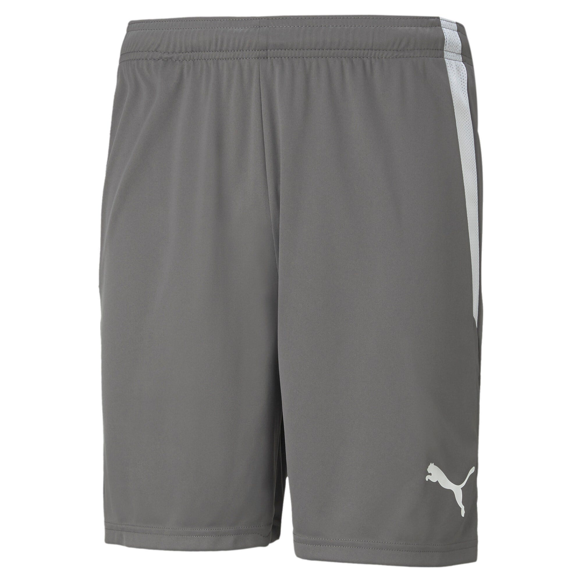 PUMA  Teamliga Shorts