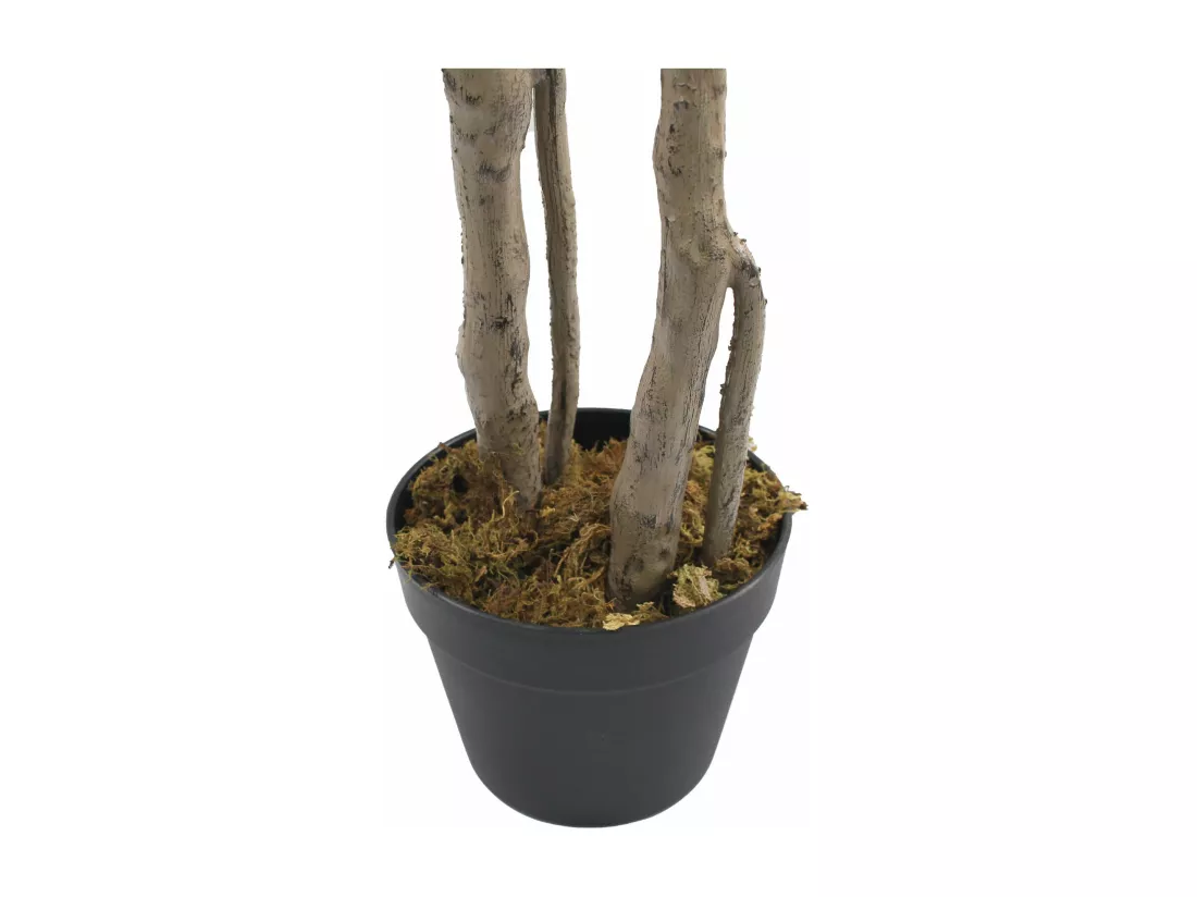 Plante artificielle Monstera Merah 155x50x50 PEVA Polyéthylène Vert Marron
