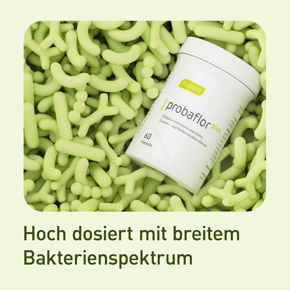 nupure probaflor plus - Hoch dosiert mit breitem Bakterienspektrum
