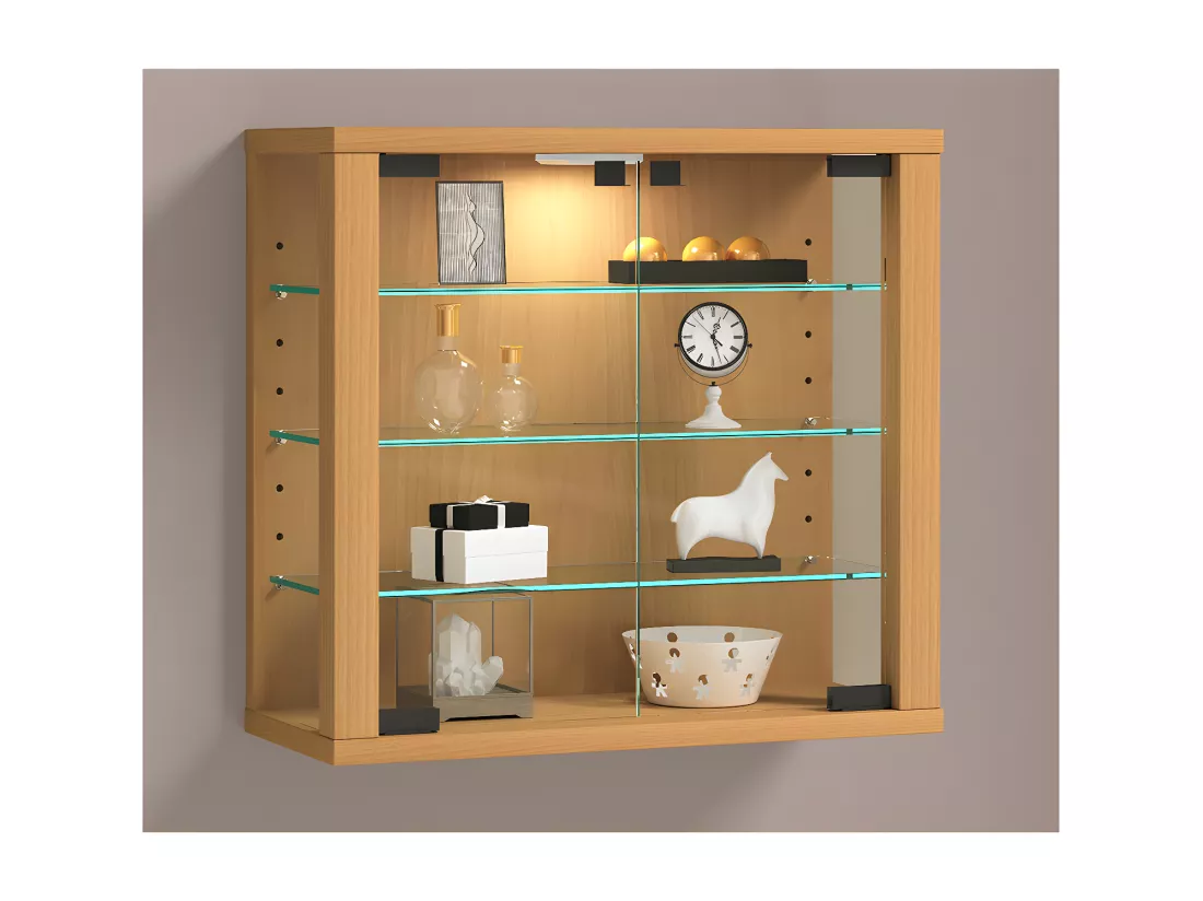 Vitrine murale Vitrosa S
