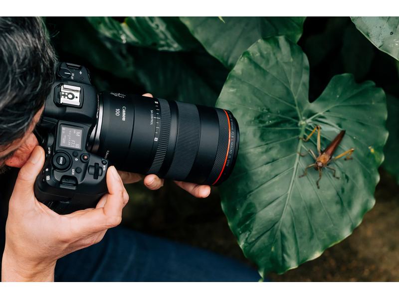 Canon Festbrennweite RF 100mm F/2.8 L Macro IS USM – Canon Makroobjektiv mit einer unglaublichen 1.4-fachen Vergrösserung