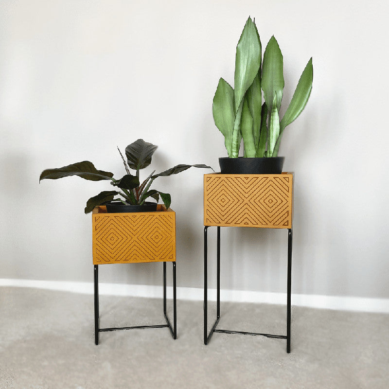 Nevi the plantbox Senfgelb, Schwarz M