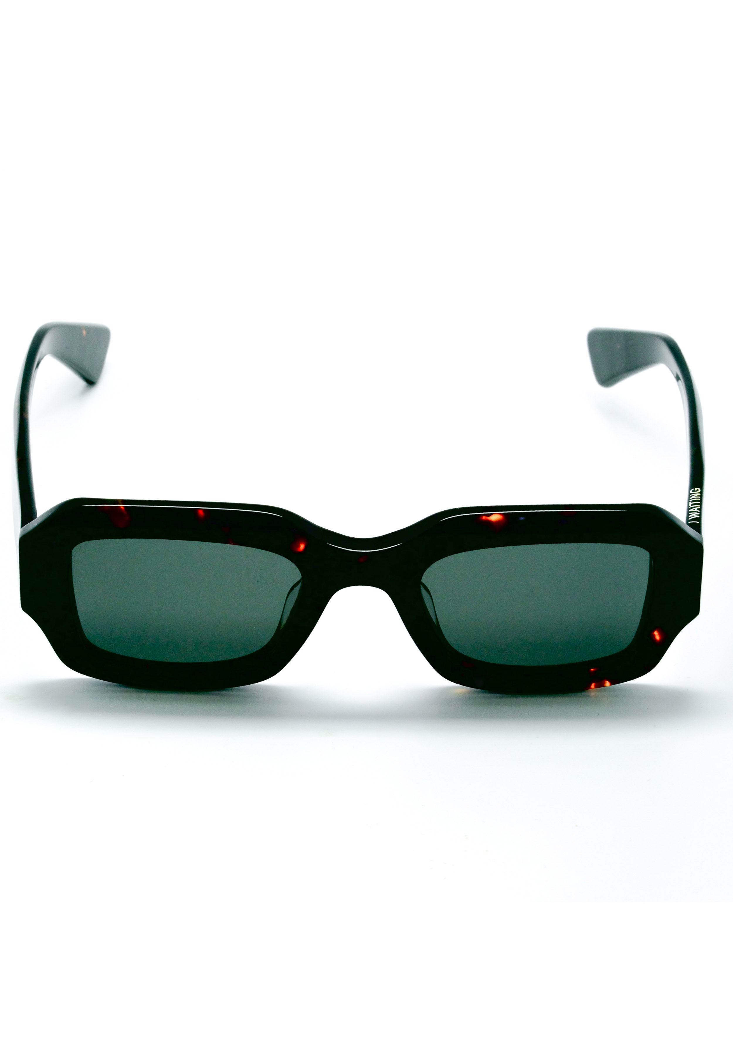 Waiting For The Sun Sonnenbrille Dave Ecaille Noir/Vert Verres