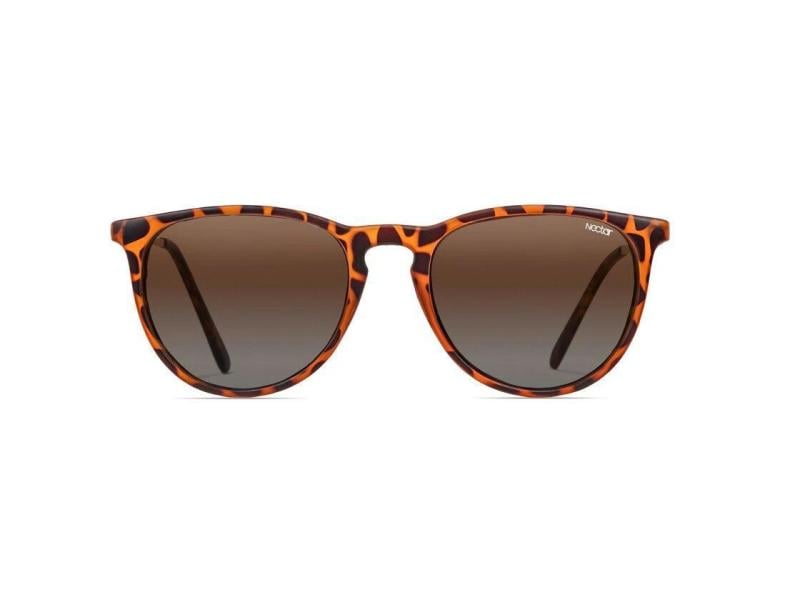 Nectar Sonnenbrille Goose Shockoe Tortoise/Amber Sonnenbrille