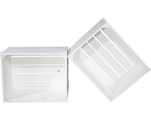 Witte fruitkist 50x40x30 cm, set van 4