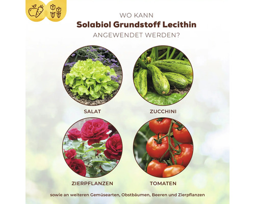 Basis ingrediënt lecithine Solabiol plantenversterker 800ml tot 21L spuitoplossing