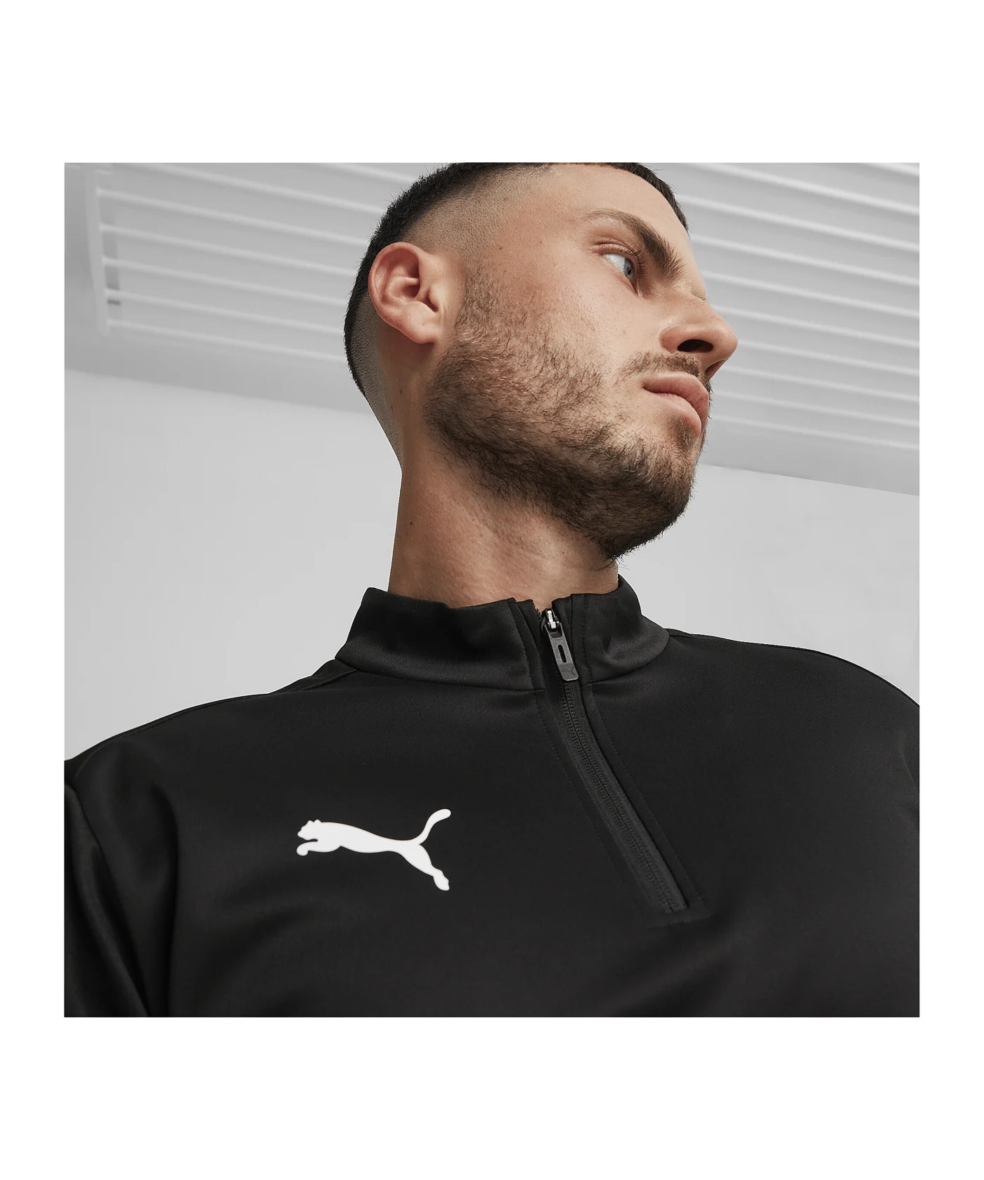 PUMA teamGOAL Training 1/4 Zip Sweatshirt F03