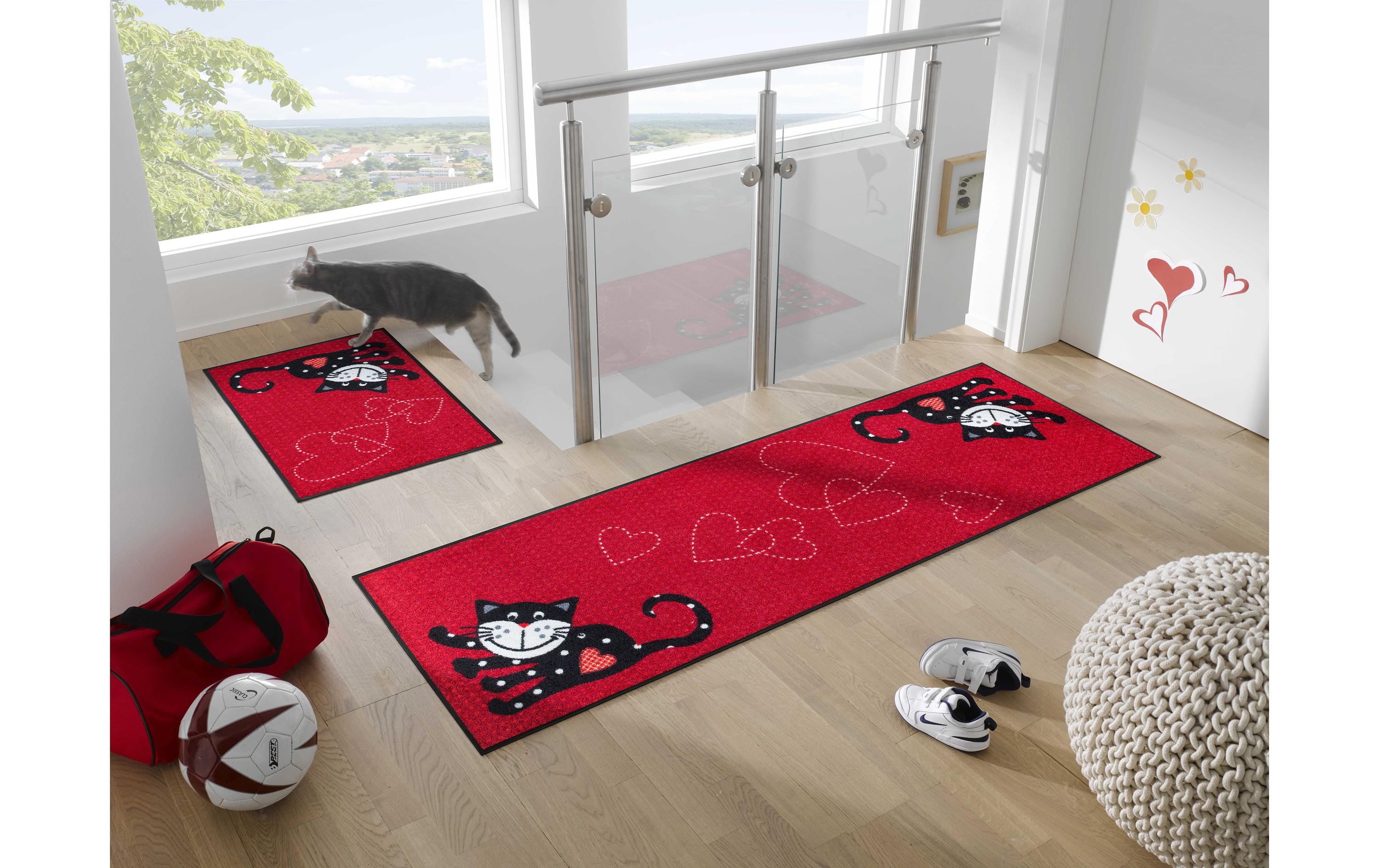 Fussmatte Romeo in Love 50 cm x 75 cmPflegeleichte und rutschfeste Schmutzfangmatte