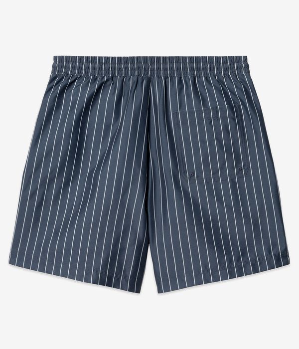 Carhartt WIP Slater Swim Boardshorts (cason stripe vertical blue)