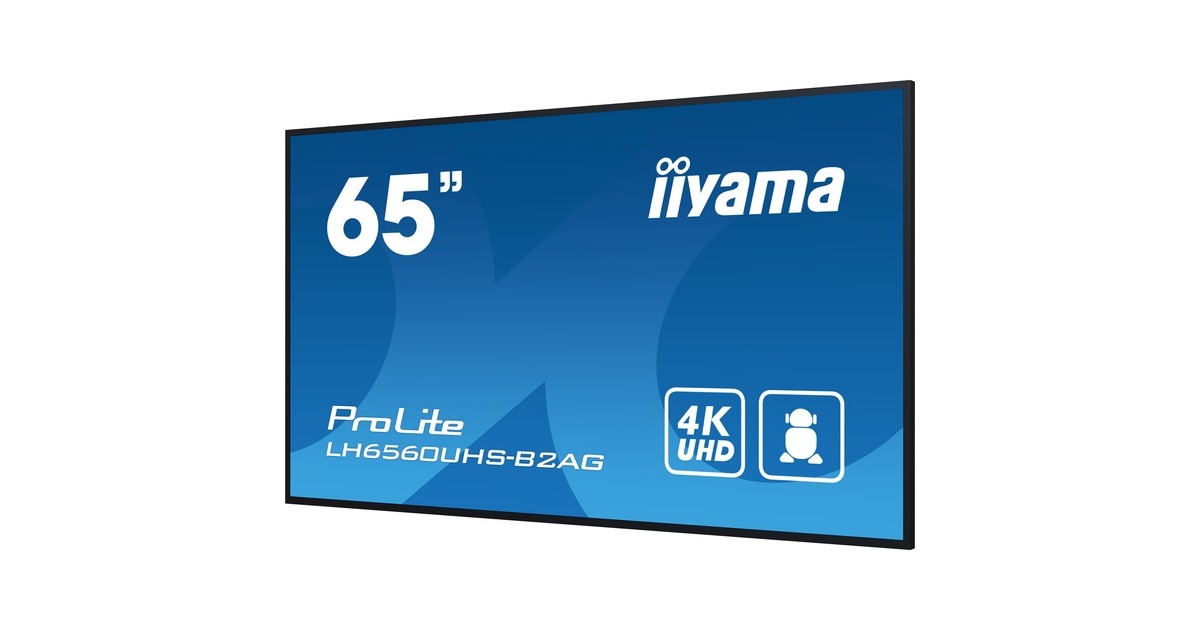 iiyamaProLite LH6560UHS-B2AG 64.5
