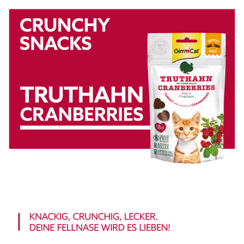 GimCat Crunchy Snacks Truthahn mit Cranberries 50 g