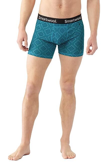 SMARTWOOL - BOXER MEN S MERINO PRINT BOXER BRIEF BOXED